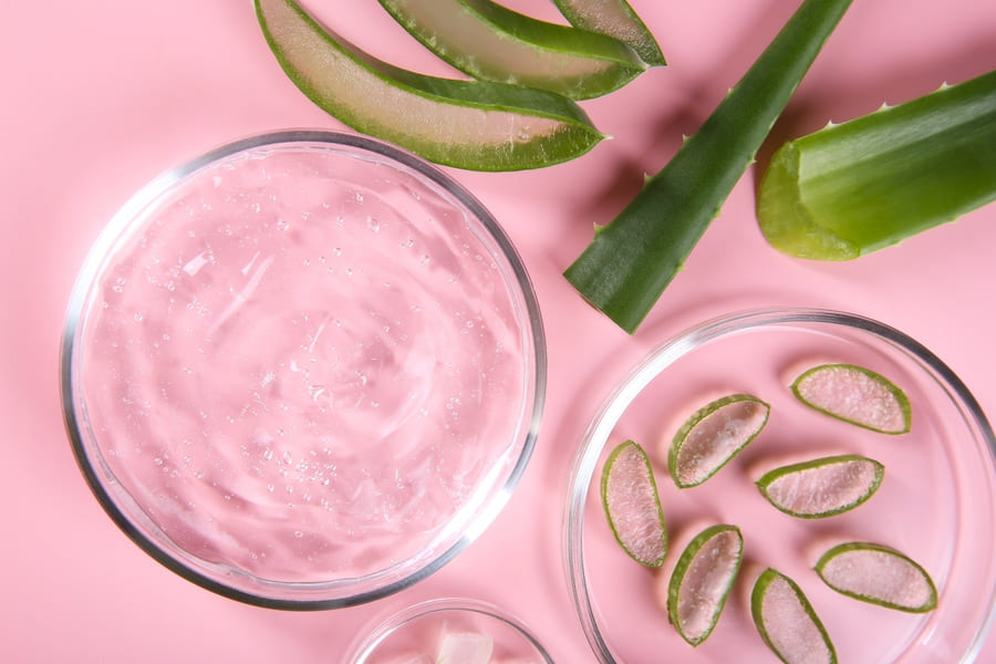 Aloe vera: benefcios da babosa para a pele