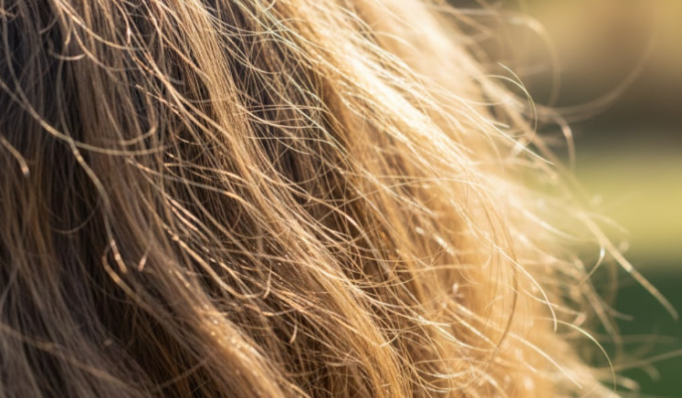 cabelo ressecado sob luz solar mostrando danos por sol, sal e cloro